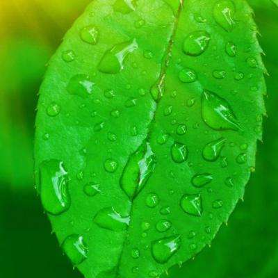 KOKapp下载手机版